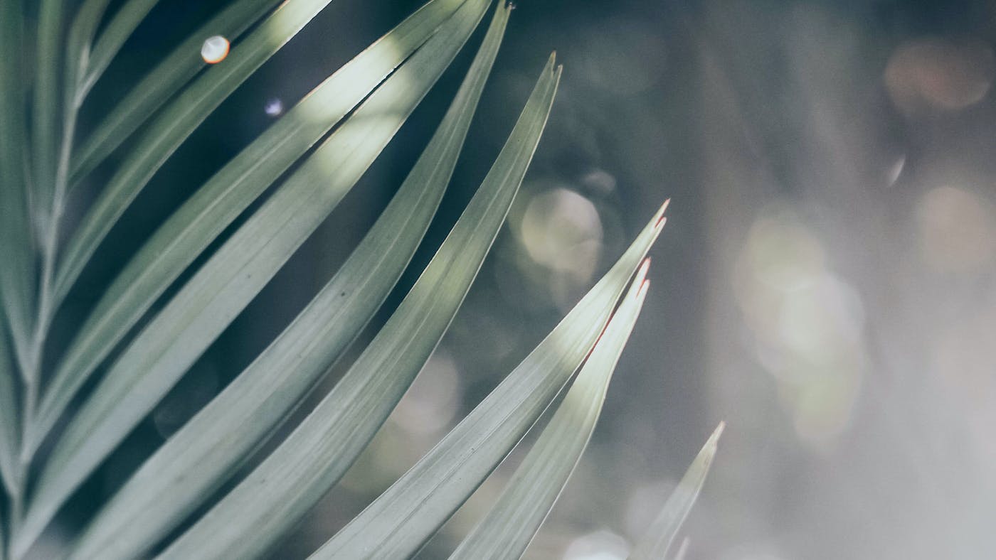 ചില കഷ്ടതകളും ഭാരങ്ങളും ഉള്ളതാണ് നല്ലത്