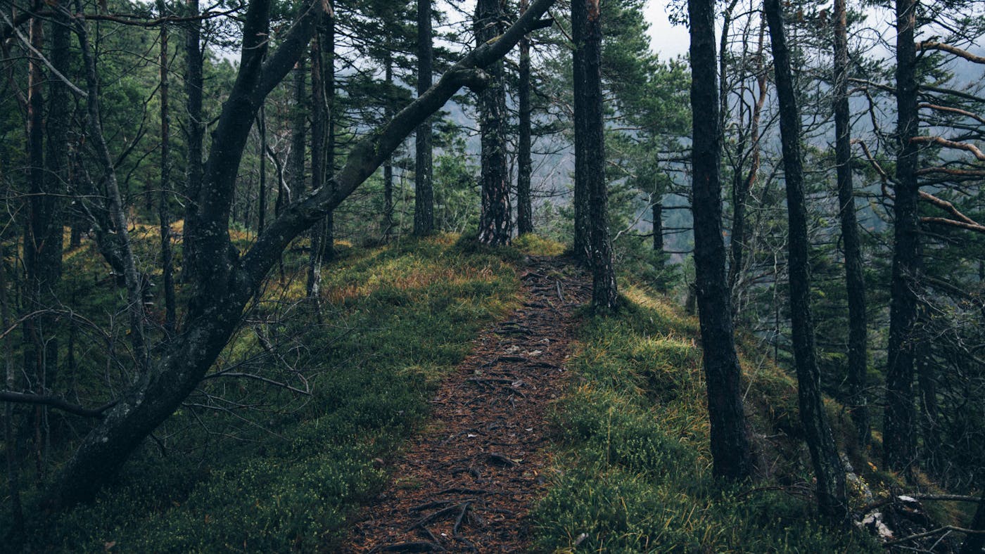 ദൈവത്തിന്റെ അപ്രതീക്ഷിതമായ ഉത്തരങ്ങൾ