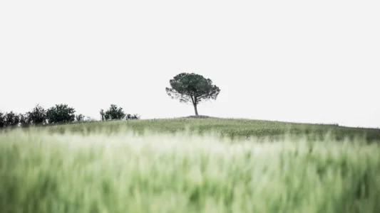 വിശ്വസ്തതക്കായി സ്വയം സമര്‍പ്പിക്കുക